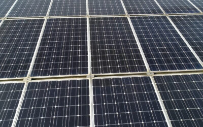 Trina Solar and CSRE Partnership Announced