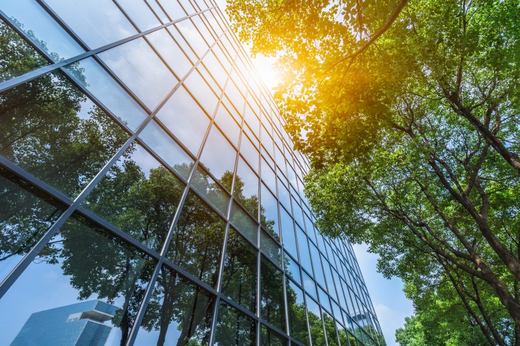 Glass building with tree reflection
