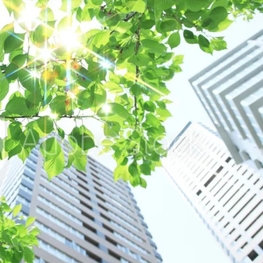 Skyscrapers view from the ground with the sky and tree leaves